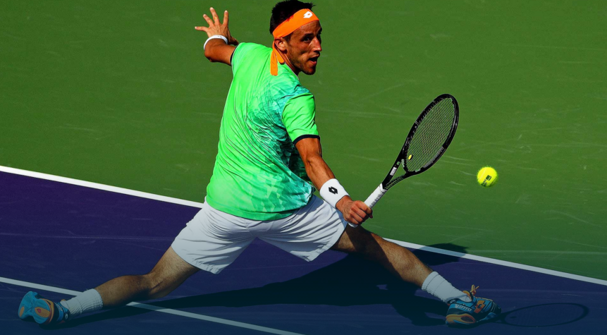 damir dzumhur