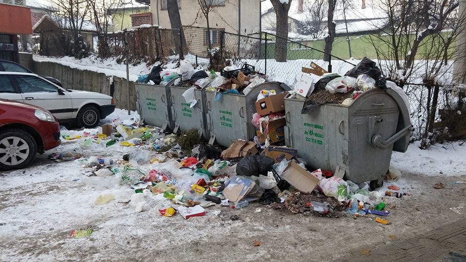 smece donje rosulje 1
