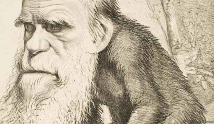Darwin