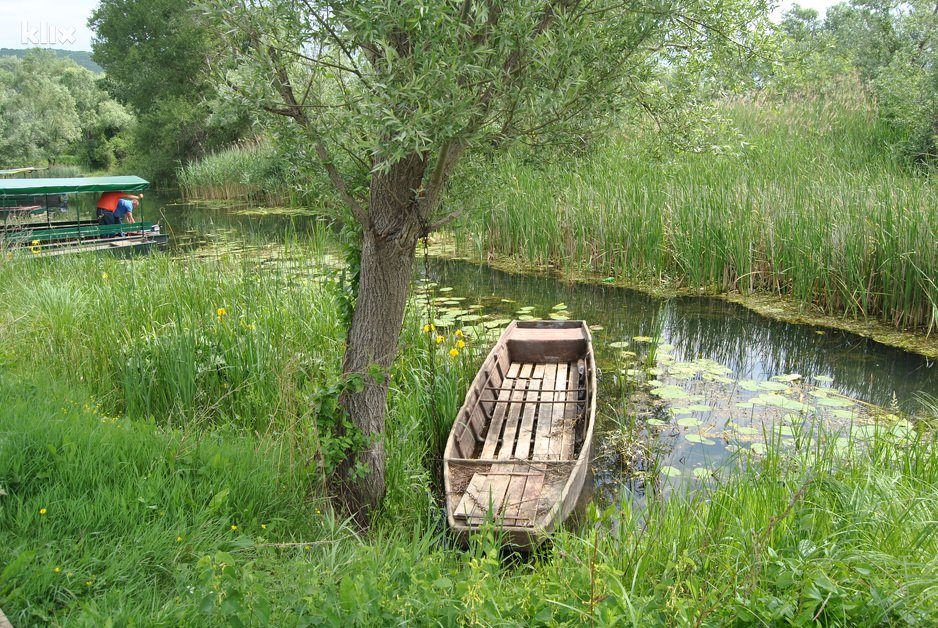 mocvara