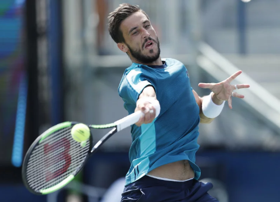 damir džumhur