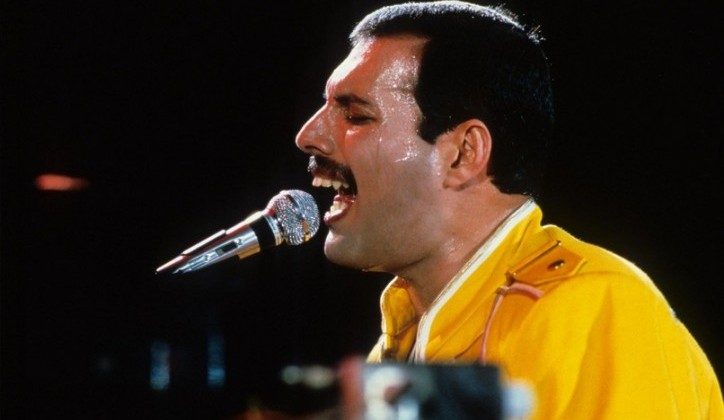 freddie