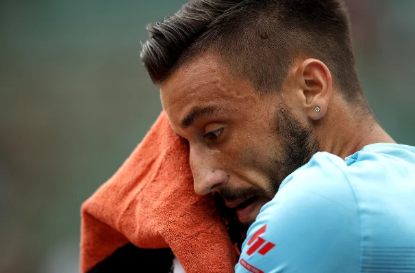 damir džumhur