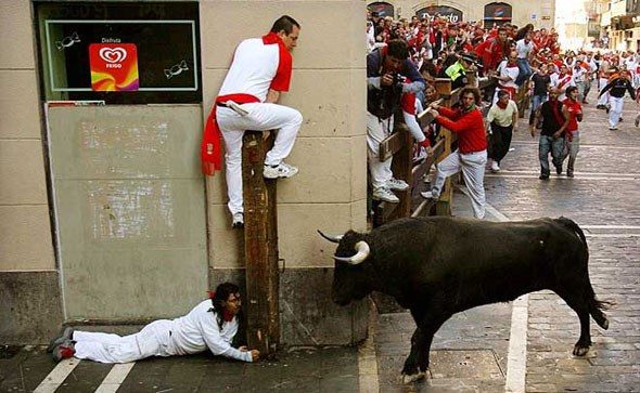 pamplona-bikovi0713