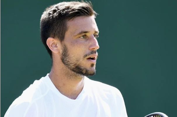 damir džumhur
