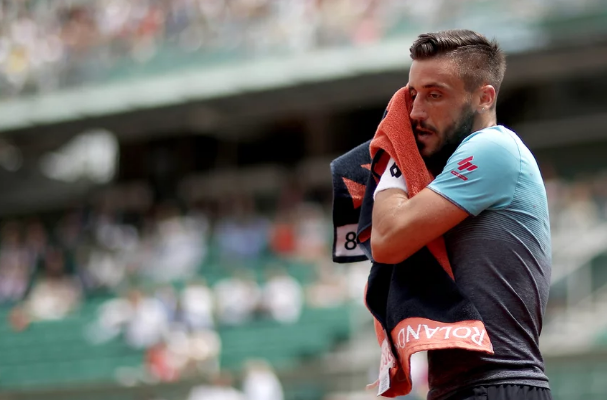 damir džumhur