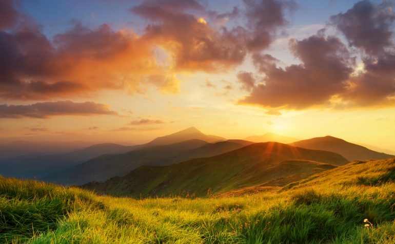 shutterstock_257057488-770x475