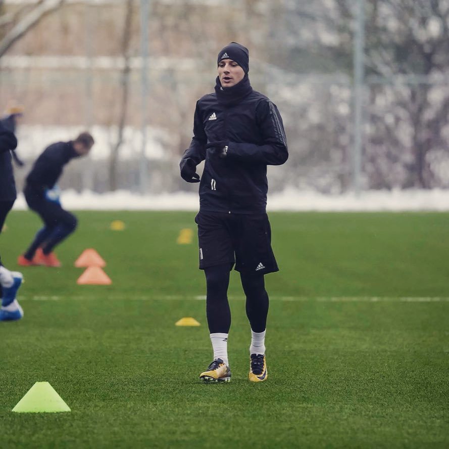 adnan dzafic, januar 2019