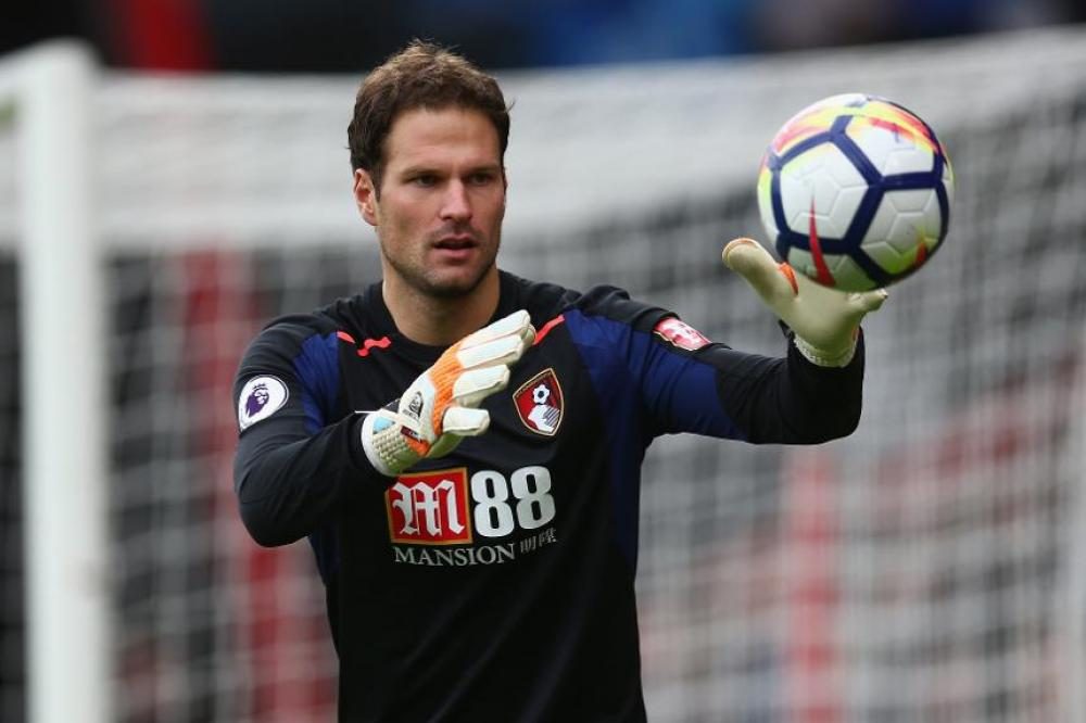 begovic