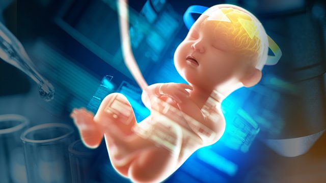 china-gene0baby-november-26-2018