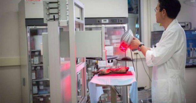 bioprinter
