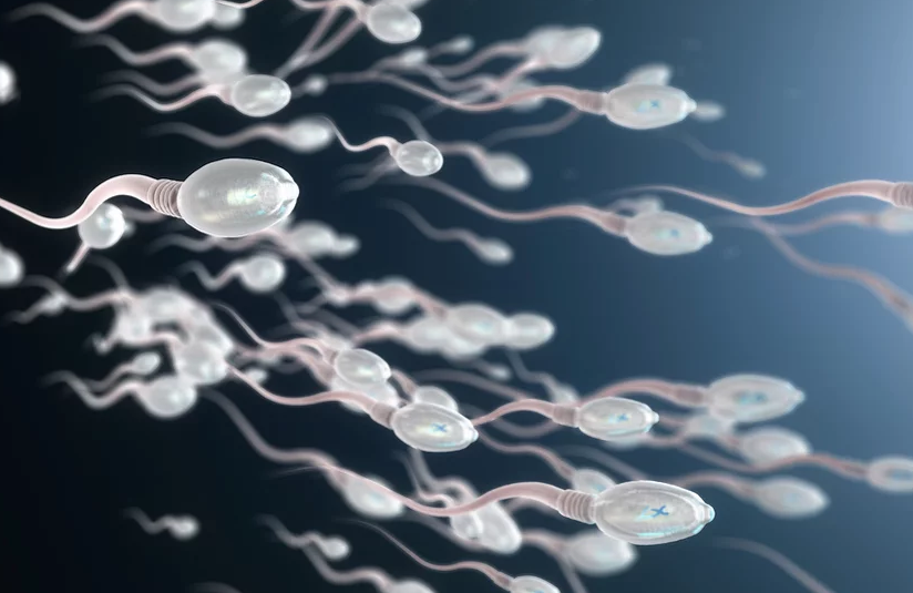 ssperma