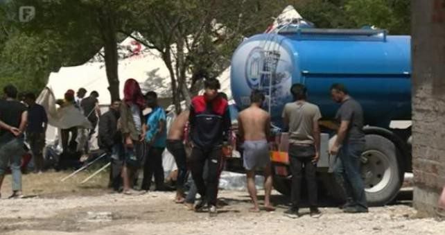 migranti