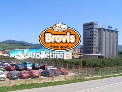 brovis